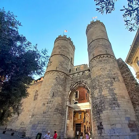 Dai Forti Lanterna *